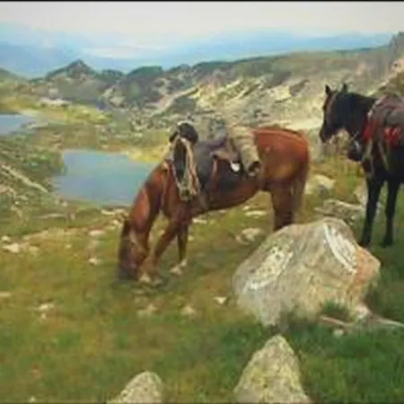 In Gardens Complex Apartamento *