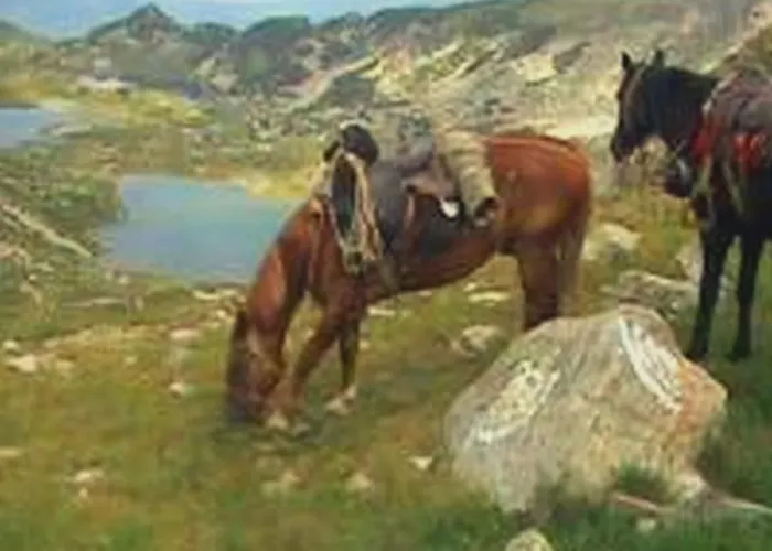 In Gardens Complex Апартаменты *